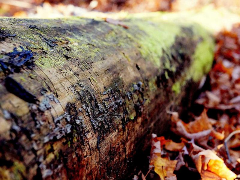 sudoku mobile app screenshot 1